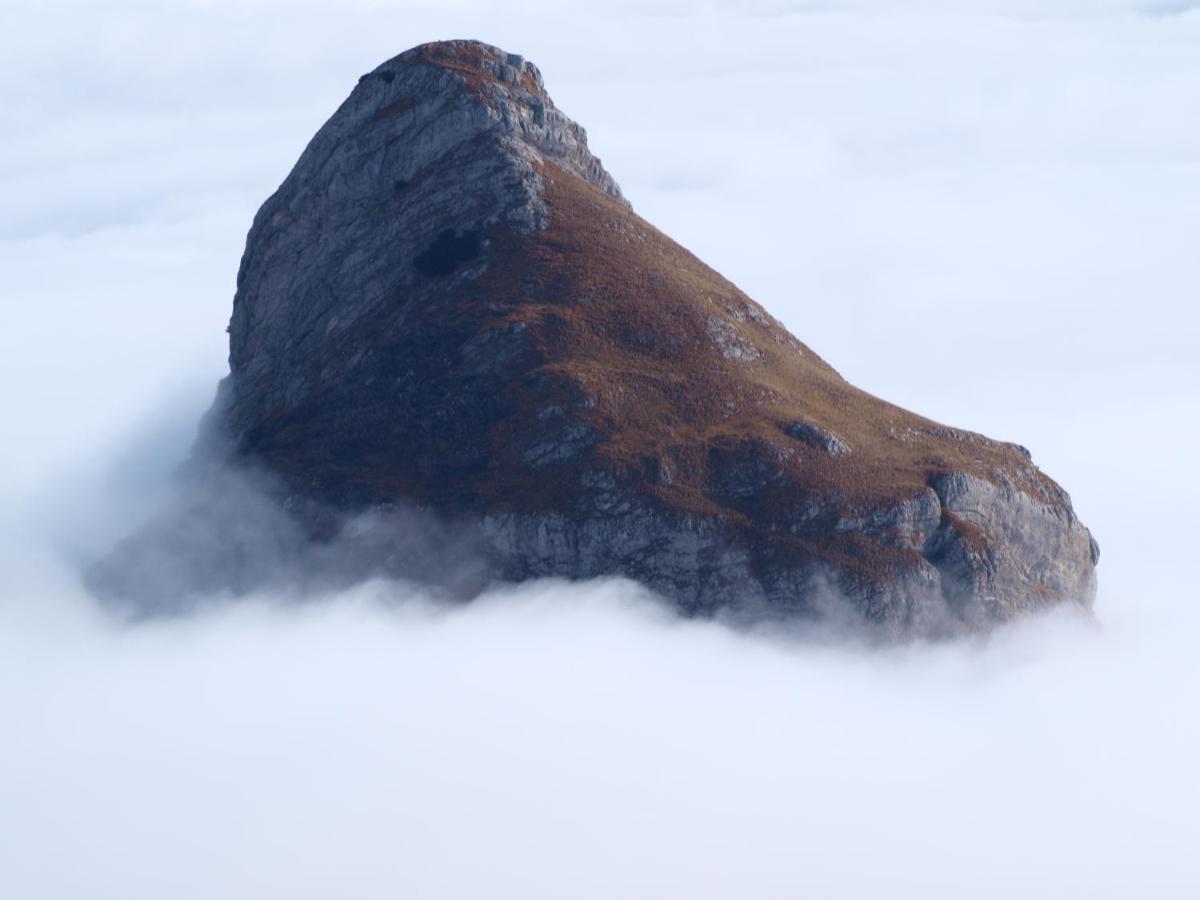 Guesthouse Ukus Durmitora Zabljak  Bagian luar foto
